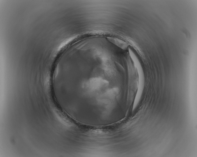 X0000113050588200909101941