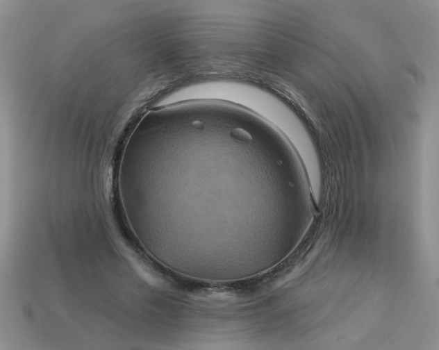 X0000113050589200909101941