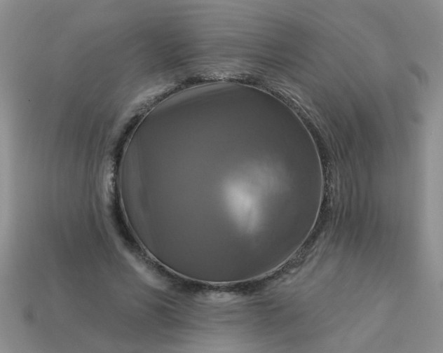 X0000113050590200909101941