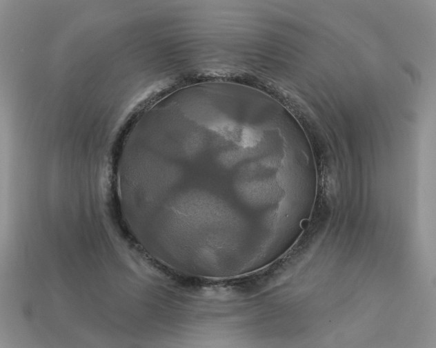 X0000113050591200909101941