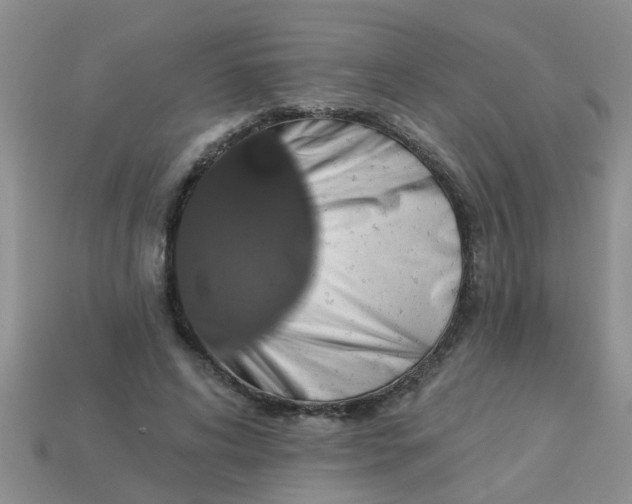 X0000113050592200909101941