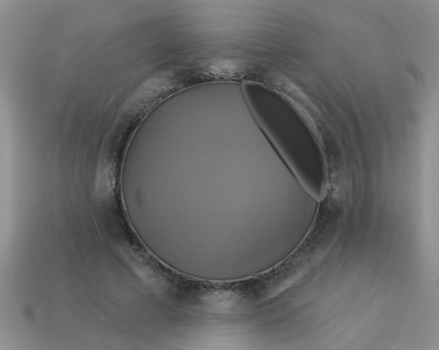 X0000113050593200909101941