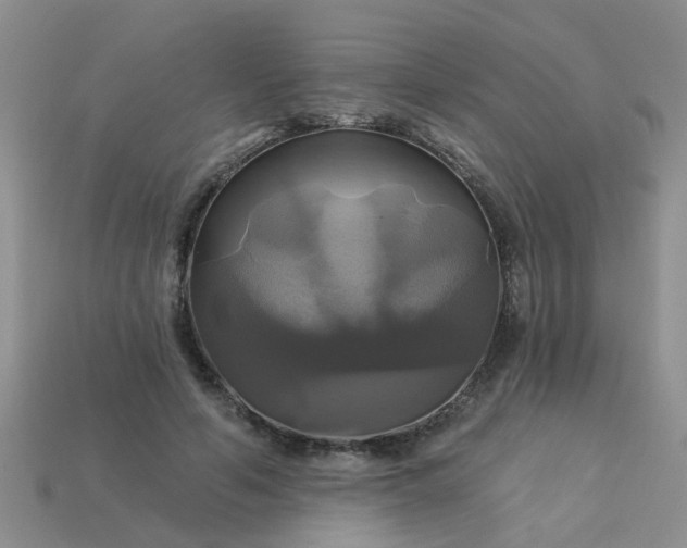 X0000113050594200909101940