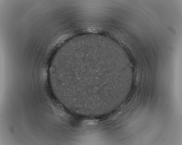 X0000113050595200909101940