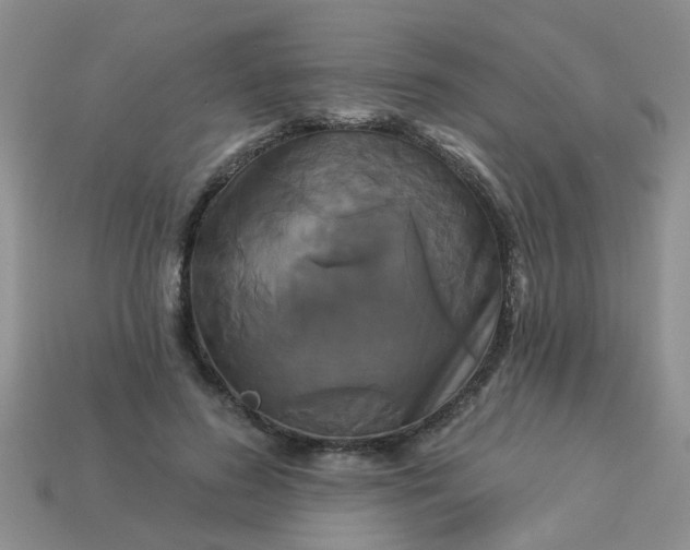 X0000113050596200909101940