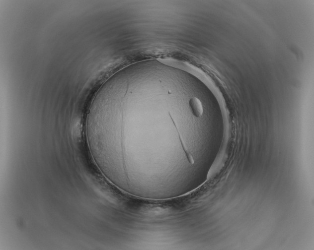 X0000113050597200909101940