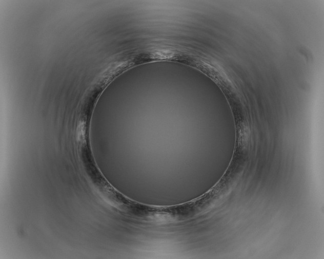 X0000113050598200909101940