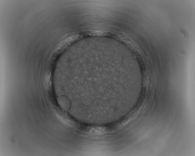 X0000113050599200909101940