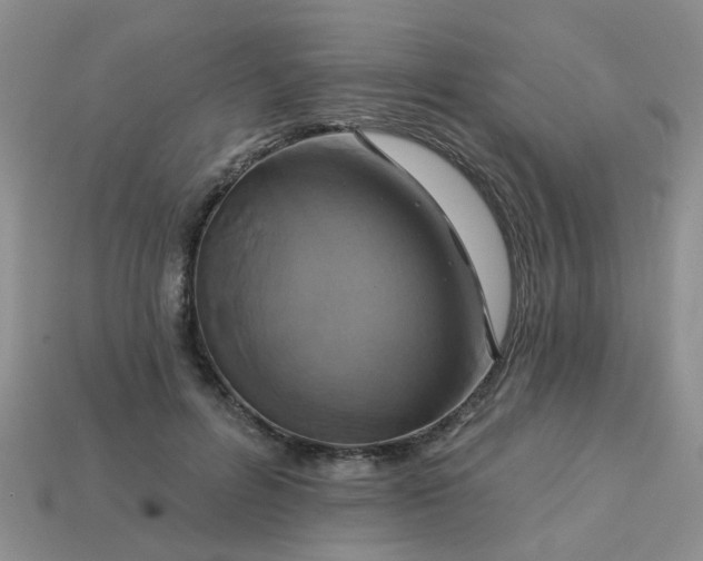 X0000113050600200909101940