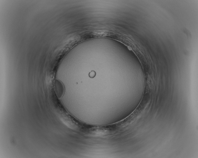 X0000113050601200909101940