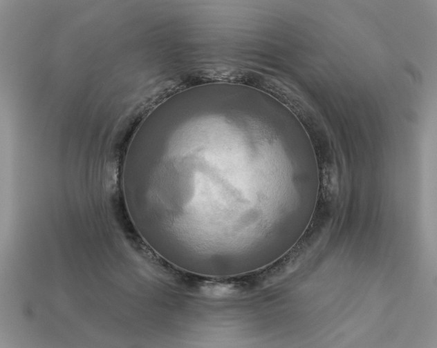 X0000113050602200909101940