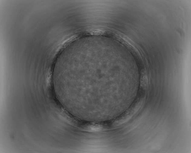 X0000113050604200909101940