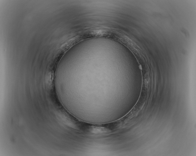 X0000113050605200909101940