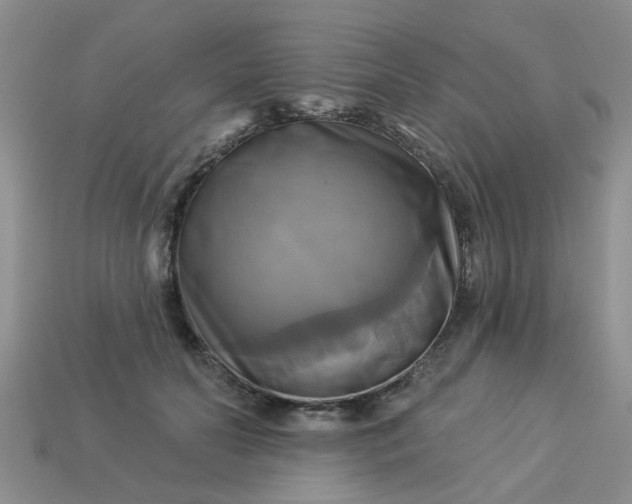 X0000113050606200909101940