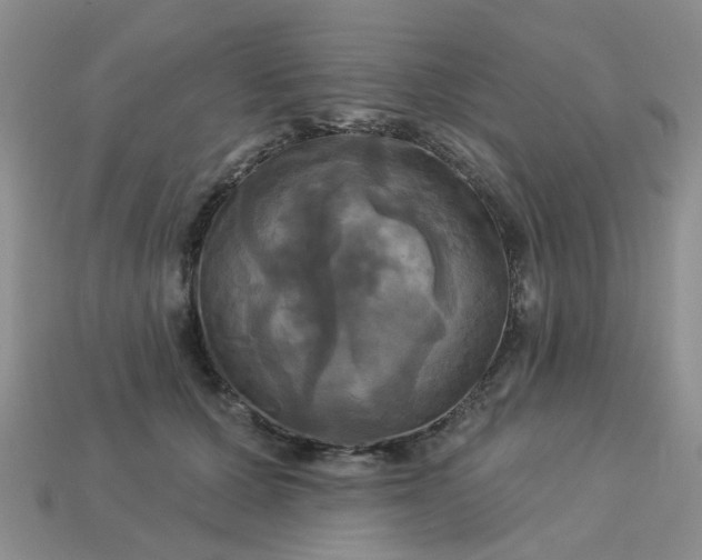 X0000113050607200909101940