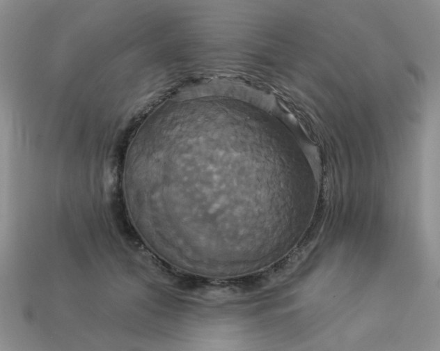 X0000113050608200909101940