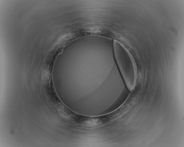 X0000113050609200909101940