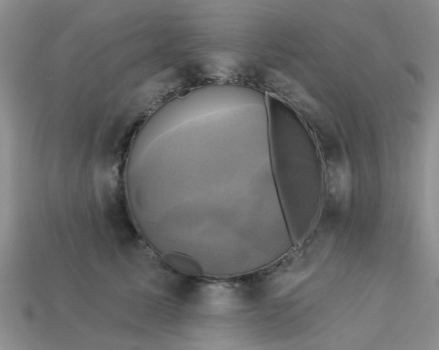 X0000113050611200909101940