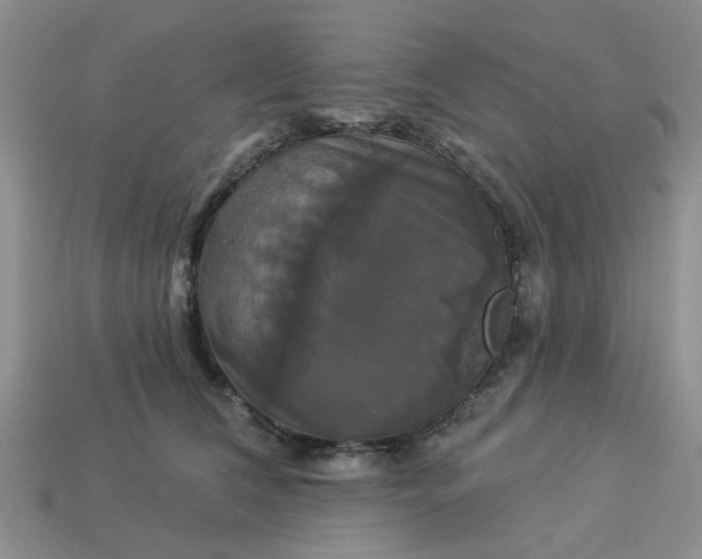 X0000113050612200909101940