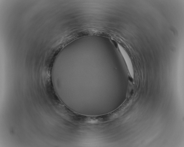 X0000113050613200909101940