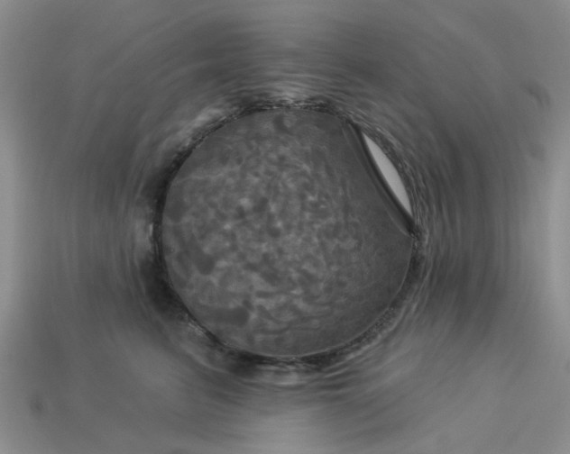 X0000113050615200909101940