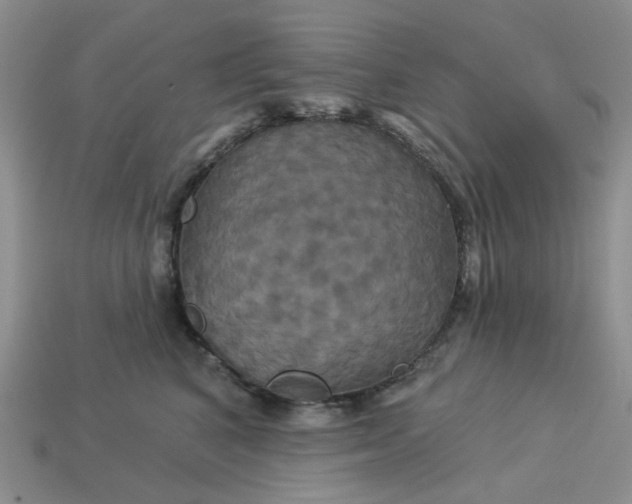 X0000113050616200909101940