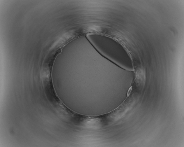 X0000113050617200909101940