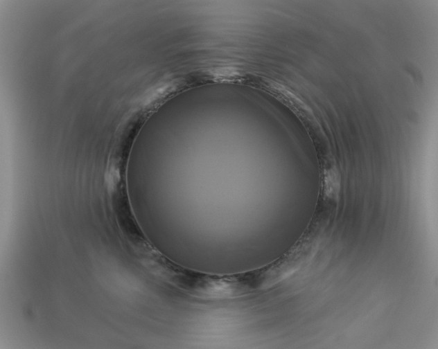 X0000113050618200909101940