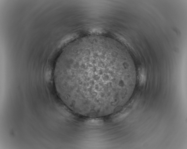 X0000113050619200909101940