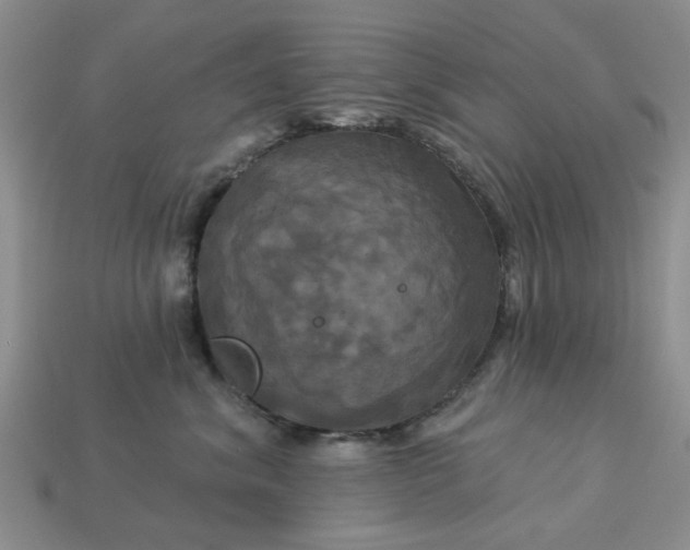 X0000113050620200909101940