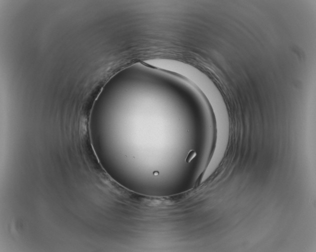 X0000113050621200909101940