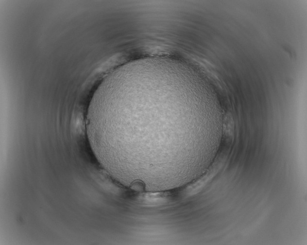 X0000113050622200909101940