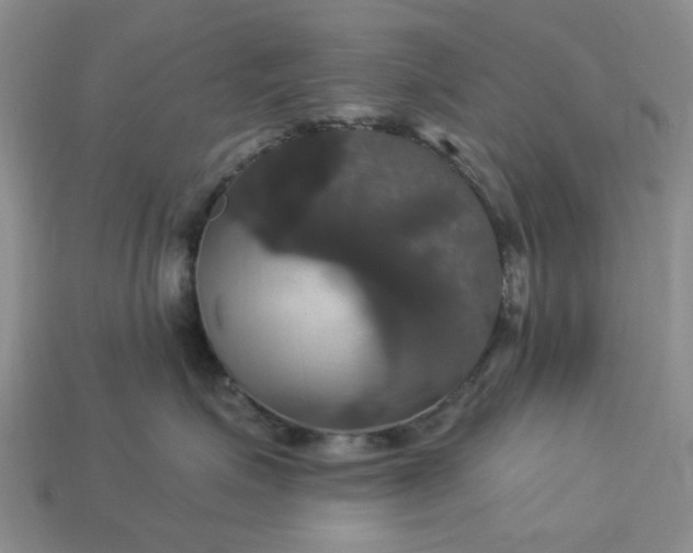 X0000113050623200909101940