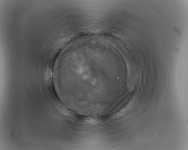 X0000113050624200909101940