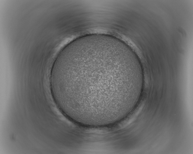 X0000113050625200909101939