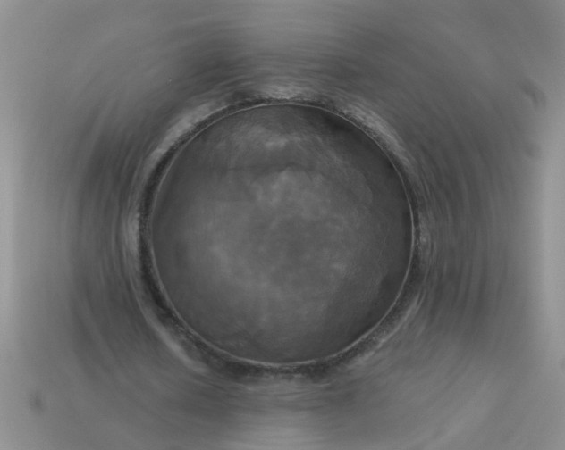 X0000113050626200909101940