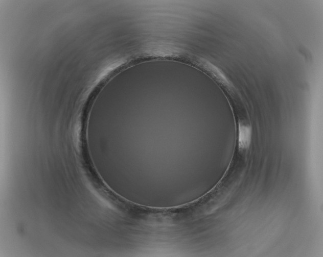 X0000113050627200909101940