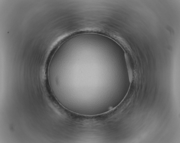 X0000113050628200909101940