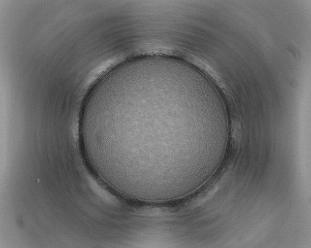 X0000113050629200909101940