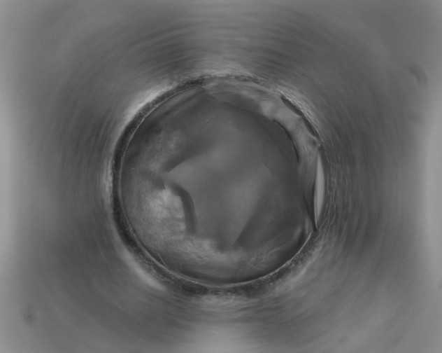 X0000113050630200909101940