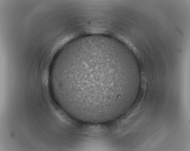 X0000113050631200909101940