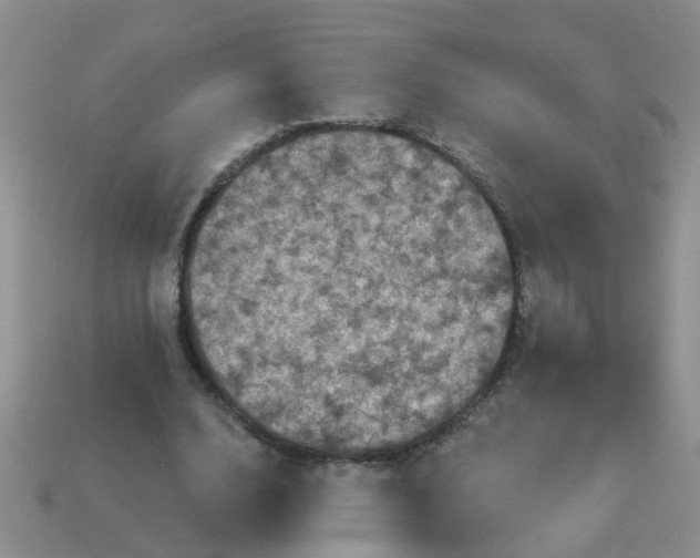 X0000113050632200909101940