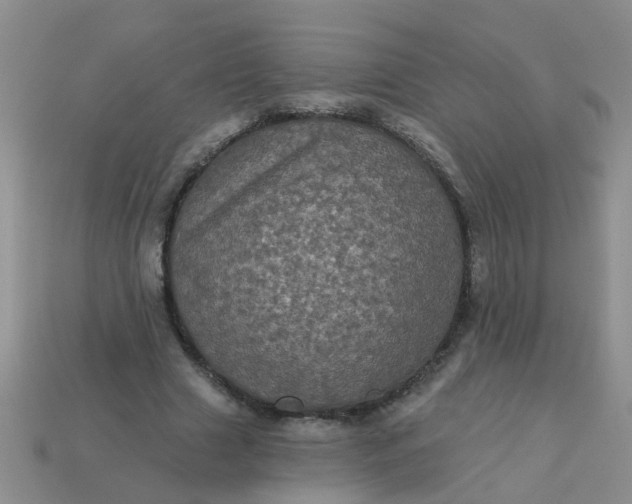 X0000113050633200909101940