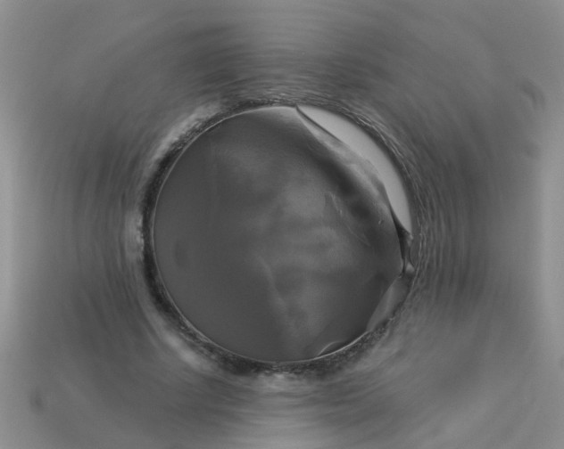 X0000113050634200909101940