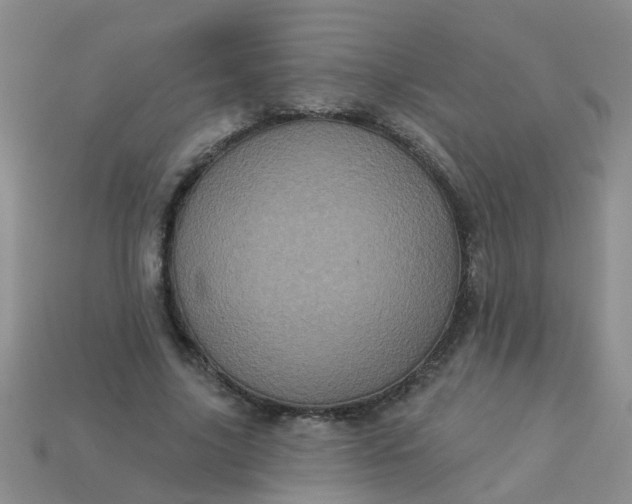 X0000113050635200909101940