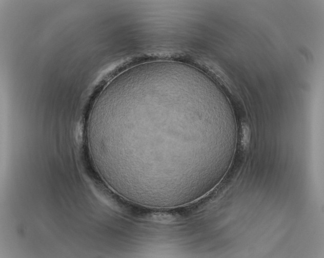 X0000113050636200909101940