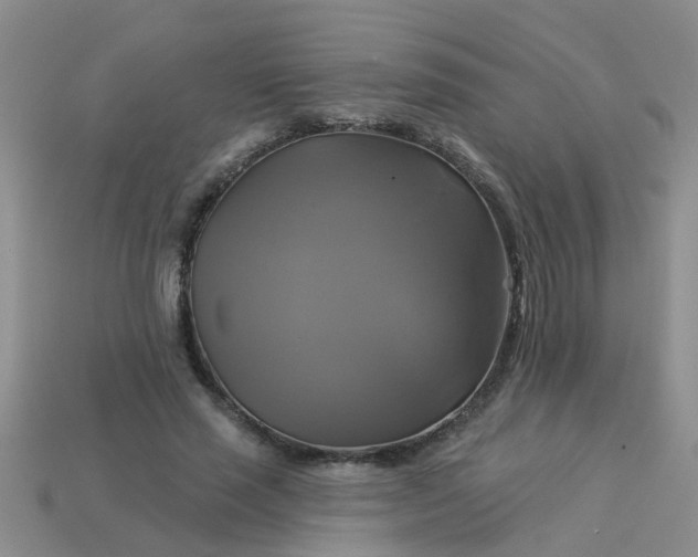 X0000113050637200909101940