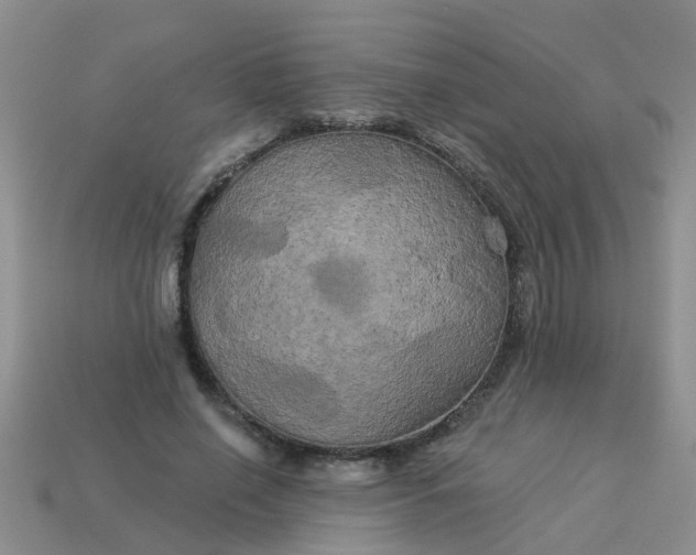 X0000113050638200909101940