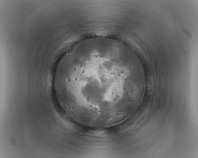 X0000113050639200909101940