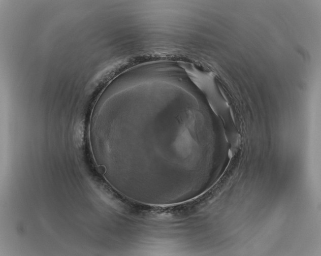 X0000113050640200909101940